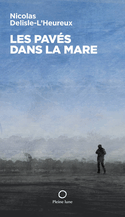 Pavés dans la mare (Les)